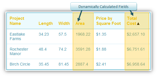 Dynamically Calculated Fields