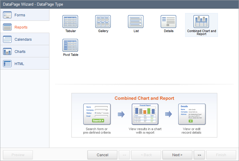 DataPage Wizard dialog box showing the selection of the Combined Chart and Report option.