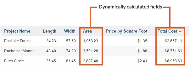 Sample fields that display calculated values.