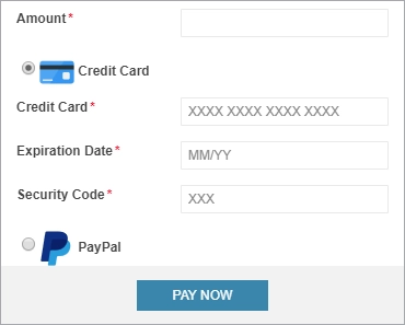 Preview of the payment options.