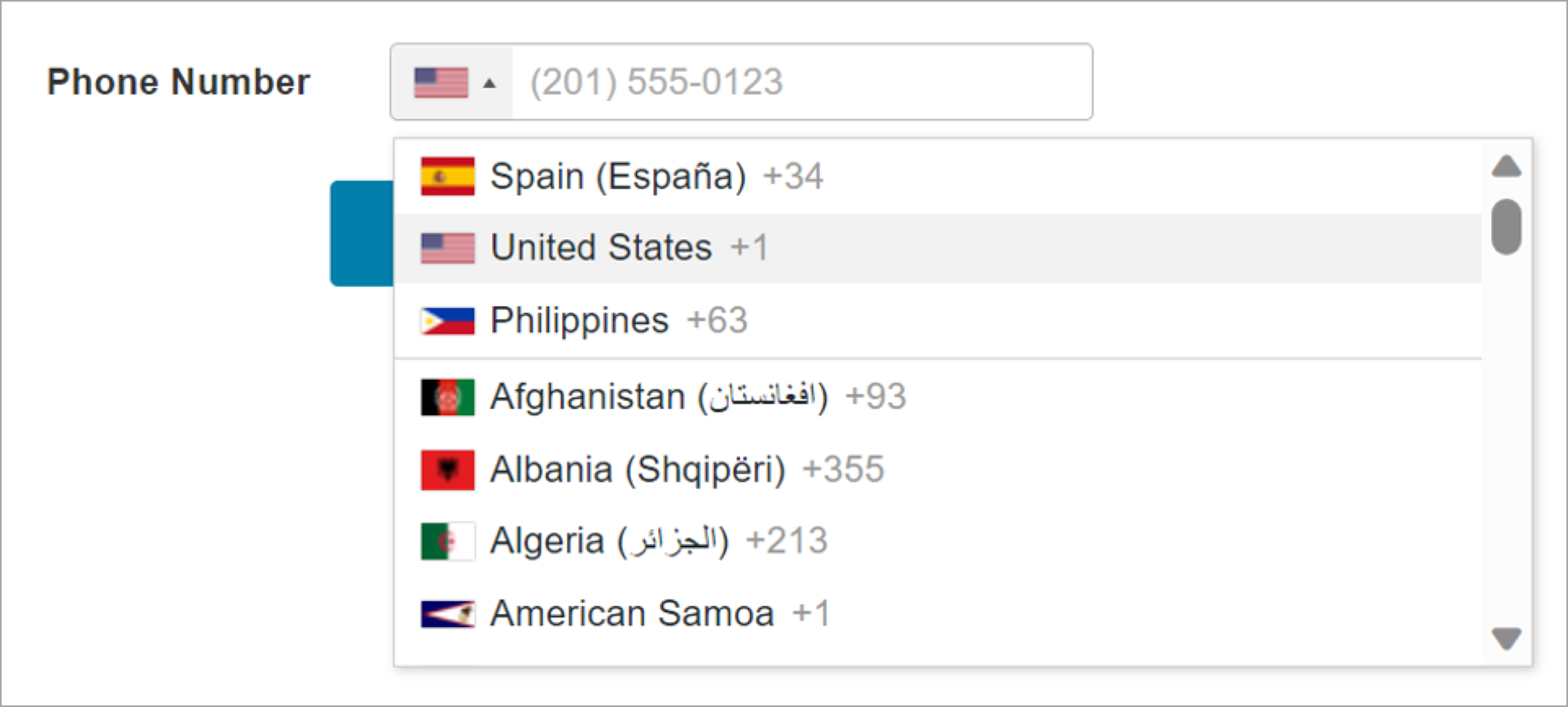 Sample Phone Number field with an active dropdown list showing flags of countries and the related country codes.