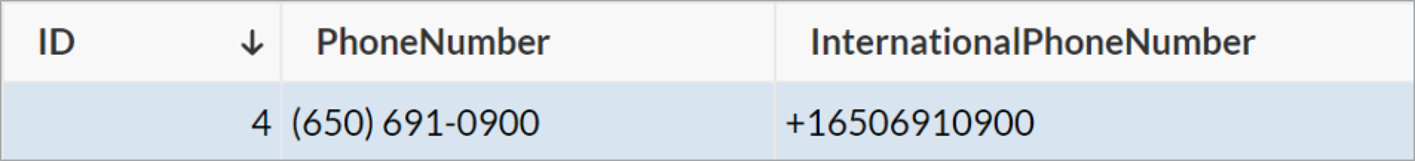 Sample record submitted with the phone numer and the related international phone number visible.