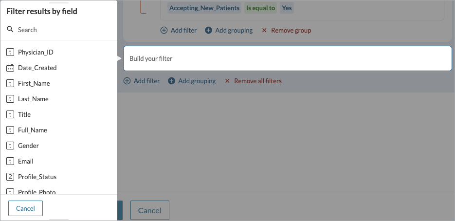 A panel showing a list of fields that you can use to create a filter.